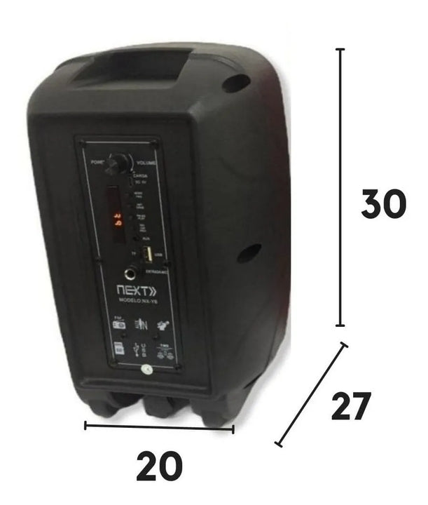 Parlante Cabina De Sonido Profesional Bt + Microfono 6.5' Negro