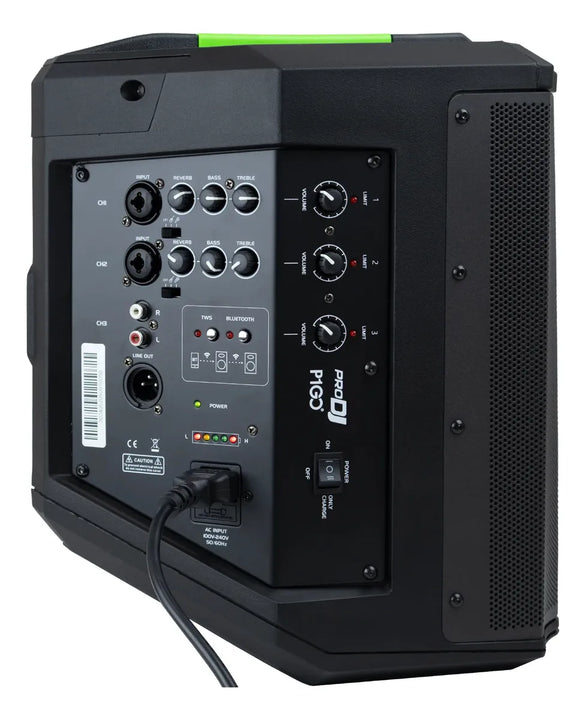 Parlante Prodj P1 Go-b Con Batería Color Negro