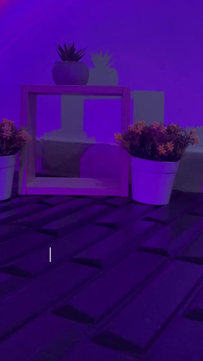 Sony Alpha Kit ZV-E10 f/3.5-5.6 OSS ILCZVE10L sin espejo color negro