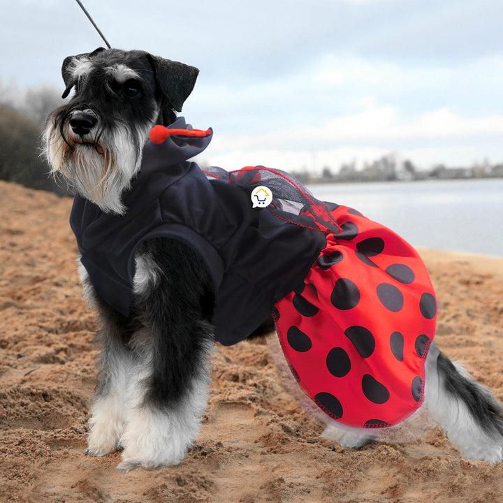 Disfraz Perro Gato Mascotas Mariquita Halloween GY002MR