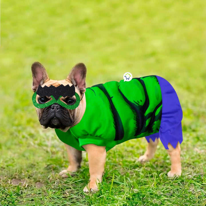 Disfraz Superhéroe Mutante Para Perro Gato Mascotas Halloween GD01HULK