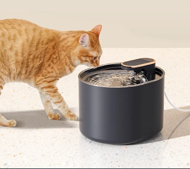 Bebedero Dispensador De Agua Para Mascotas LS-074