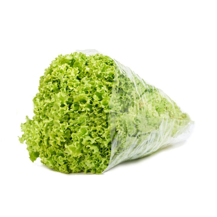 LECHUGA CRESPA HORTIFRESCO 200G BOLSA