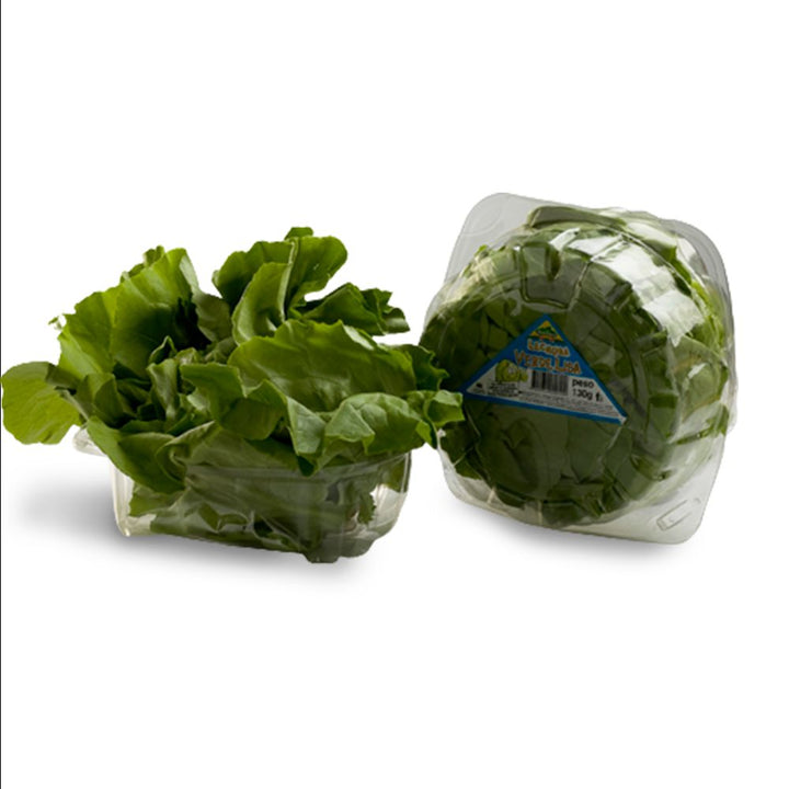 LECHUGA HORTIFRESCO 130G LISA PET