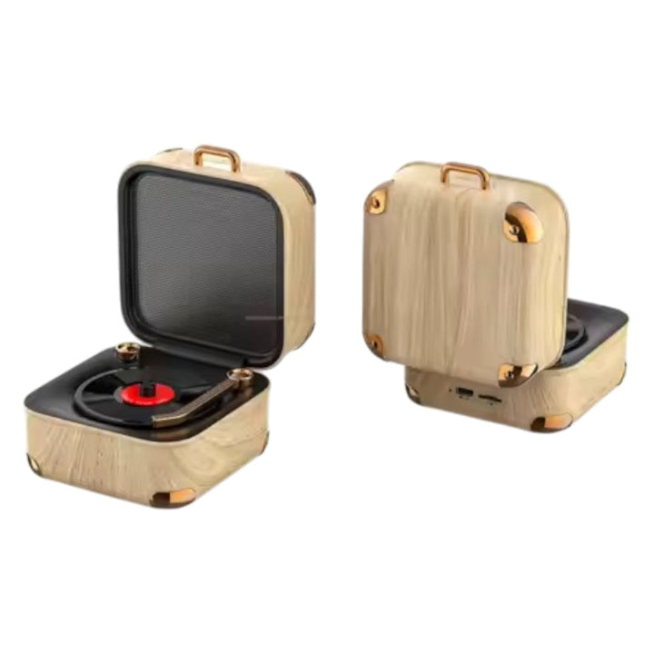 Radio Parlante De Larga Duración Diseño De Tocadiscos NT-P2449