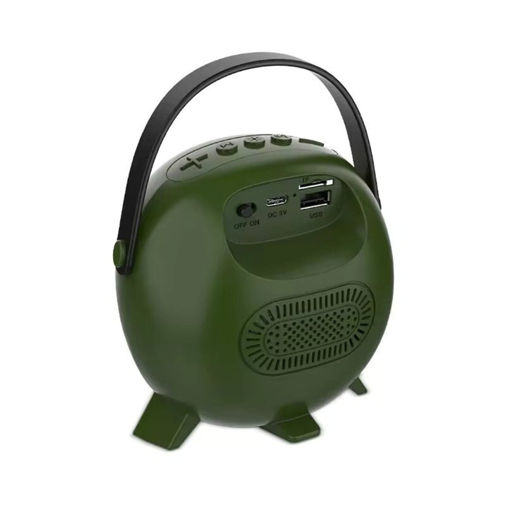 Radio Parlante Karaoke Con Luz RGB ZQS1221W