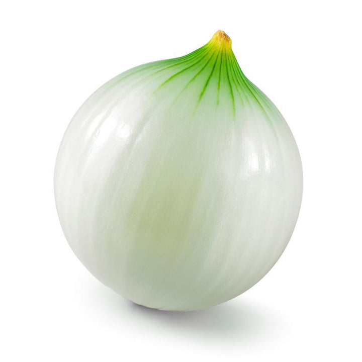 CEBOLLA BLANCA Aprox 500gr