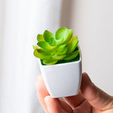 6 piezas - Combinación de plantas artificiales, bonsái verde suculento artificial para decoración interior, adorno de escritorio estilo nórdico, pequeña planta en maceta suculenta artificial, decoración del hogar