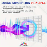 Paneles de espuma acústica OLOBLB, 12/24 unidades, 12x12x2 pulgadas, material de esponja de hongo de alta densidad, tableros de absorción de sonido para paredes y puertas, no tóxico, retardante de llama, fácil instalación, para accesorios de equipo de gr