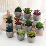 Juego de 10 Mini Suculentas Artificiales - Plantas Falsas de Plástico Modernas en Macetas de Concreto Gris para Decoración del Hogar, Jardín, Acuario y Bonsái