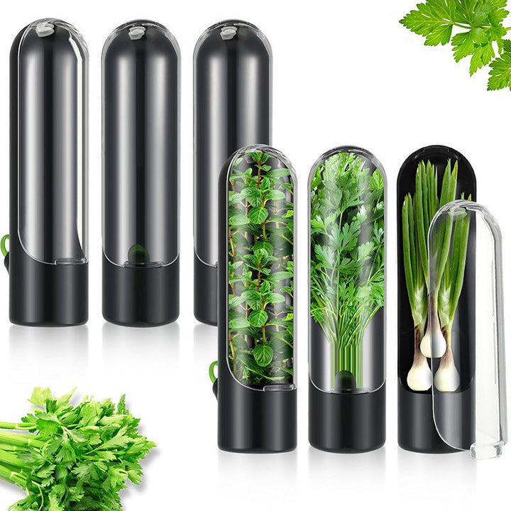 Recipiente de almacenamiento de alimentos de vainilla, dispositivo para verduras, taza fresca de vainilla, contenedor de brotes de bambú, recipientes para verduras en el refrigerador, contenedores para hierbas y cilantro, conservador de comida para nevera