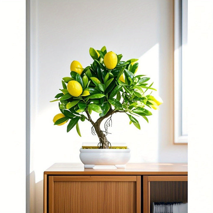 1 árbol de limón simulado con macetas blancas, forma realista. Ideal para decoración interior y exterior, embellece la sala, estudio o dormitorio, crea un ambiente fresco y natural