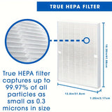 Conjunto De 10 Filtros De Repuesto De Tamaño A, Compatibles Con El Purificador De Aire Winix PlasmaWave 5300, 6300, C535, 5300-2, 6300-2, P300, AM90, 9000, 5000, 5000B, C909, 9800. Incluye 2 Filtros True Hepa Y 8 Prefiltros De Carbón.