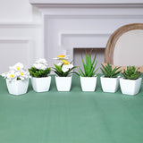 Conjunto de 6 Piezas de Suculentas y Flores Artificiales Realistas en Macetas Blancas - Perfecto para el Hogar, Escritorio de Oficina y Centros de Mesa | Set de Plantas Falsas de Tacto Real para Decoración de Todas las Estaciones