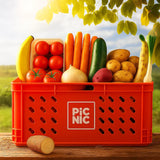 Canasta 🌱 Rayito de Fruta